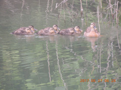 DSCN9954.JPG