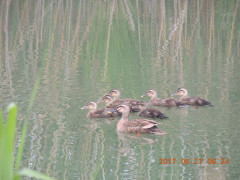 DSCN9934.JPG