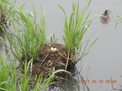 DSCN9896.JPG