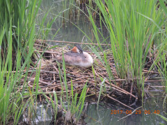 DSCN9897.JPG