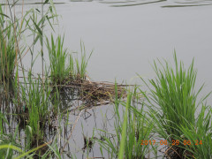 DSCN9894.JPG