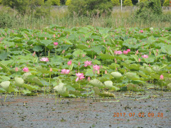 DSCN9940.JPG