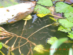 DSCN9944.JPG