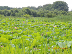 DSCN9970.JPG
