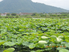 DSCN9959.JPG