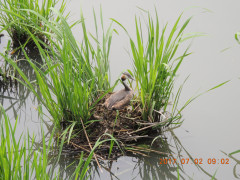 DSCN9931.JPG