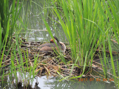 DSCN9932.JPG