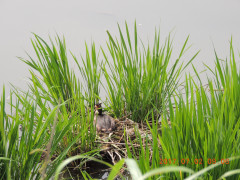 DSCN9933.JPG