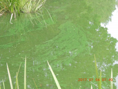 DSCN0005.JPG