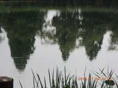DSCN0008.JPG