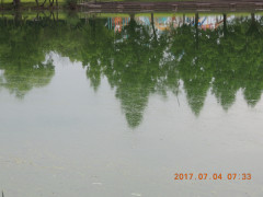 DSCN9991.JPG