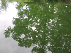 DSCN9999.JPG