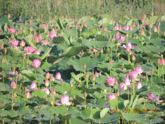 DSCN0025.JPG
