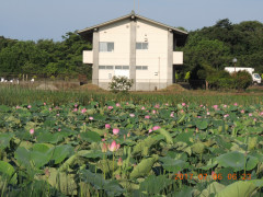 DSCN0031.JPG