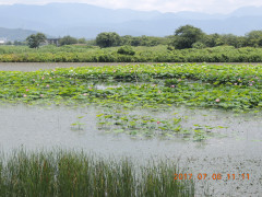 DSCN0042.JPG