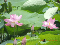 DSCN0041.JPG