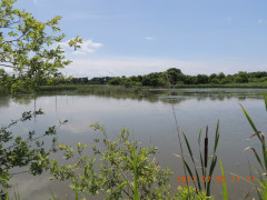 DSCN0044.JPG