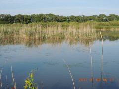 DSCN0037.JPG