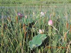 DSCN0033.JPG