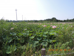 DSCN1799.JPG