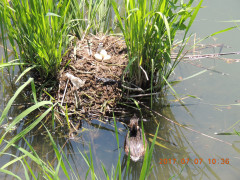 DSCN9905.JPG