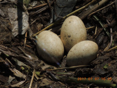 DSCN9904.JPG