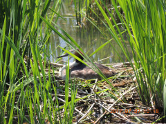 DSCN9897.JPG