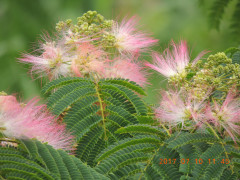 DSCN9929.JPG