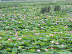 DSCN9922.JPG