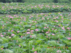 DSCN9923.JPG