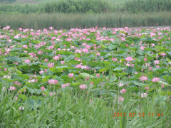 DSCN9925.JPG