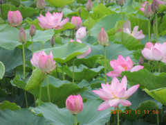 DSCN9935.JPG