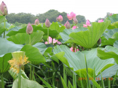 DSCN9940.JPG