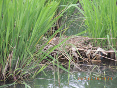 DSCN9944.JPG