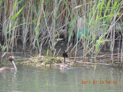 DSCN9974.JPG
