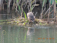 DSCN9975.JPG