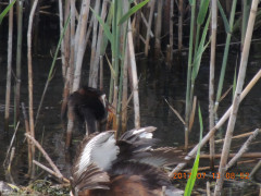 DSCN9976.JPG