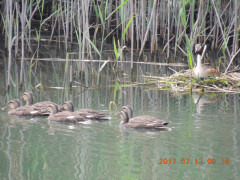 DSCN0045.JPG