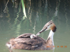 DSCN0064.JPG