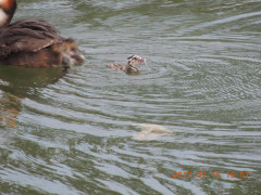 DSCN9985.JPG