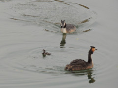 RSCN0032.JPG