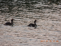 DSCN0029.JPG