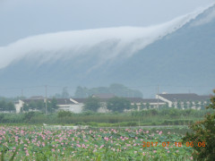 DSCN9959.JPG