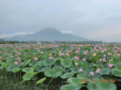 DSCN9961.JPG