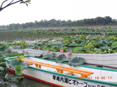 DSCN9967.JPG