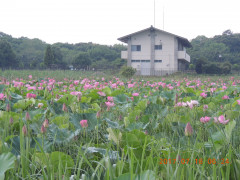 DSCN9974.JPG