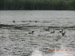 DSCN9977.JPG