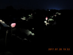 DSCN0011.JPG
