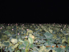 DSCN0043.JPG