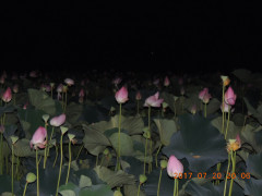 DSCN0049.JPG